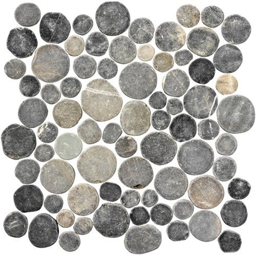 Stone Coins Silva Grey 30x30 cm