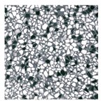 Granito Plint Genua 40x7,5 cm Granito Plint Genua 40x7,5 cm