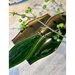 Iris F68 Mate 8x24 cm Iris F68 Mate 8x24 cm